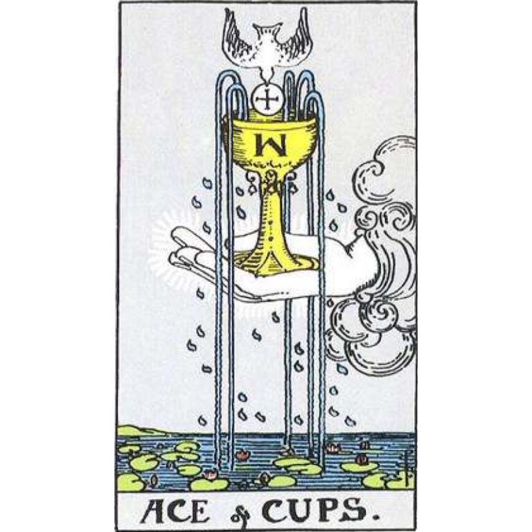 ace cups 768x768
