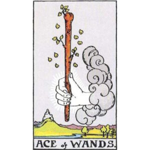 ace wands small 300x300