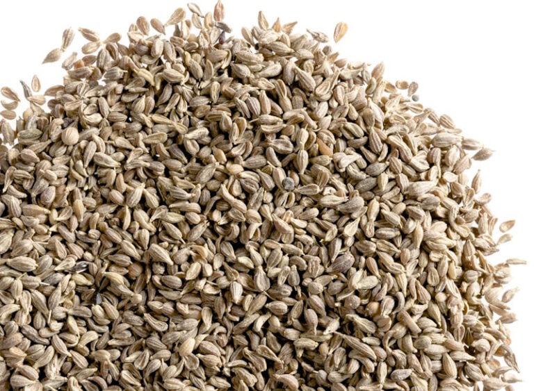 anise seed 768x563