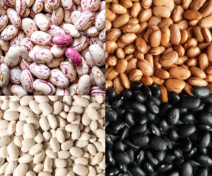 beans 300x250