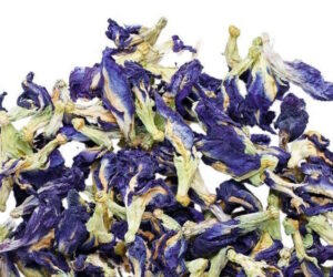 butterfly pea flower2 300x250