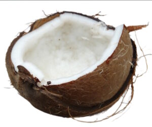 coconut 300x250