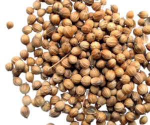 coriander 300x250