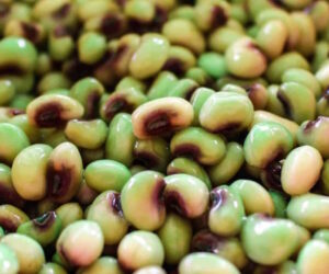 purple hull peas 300x250